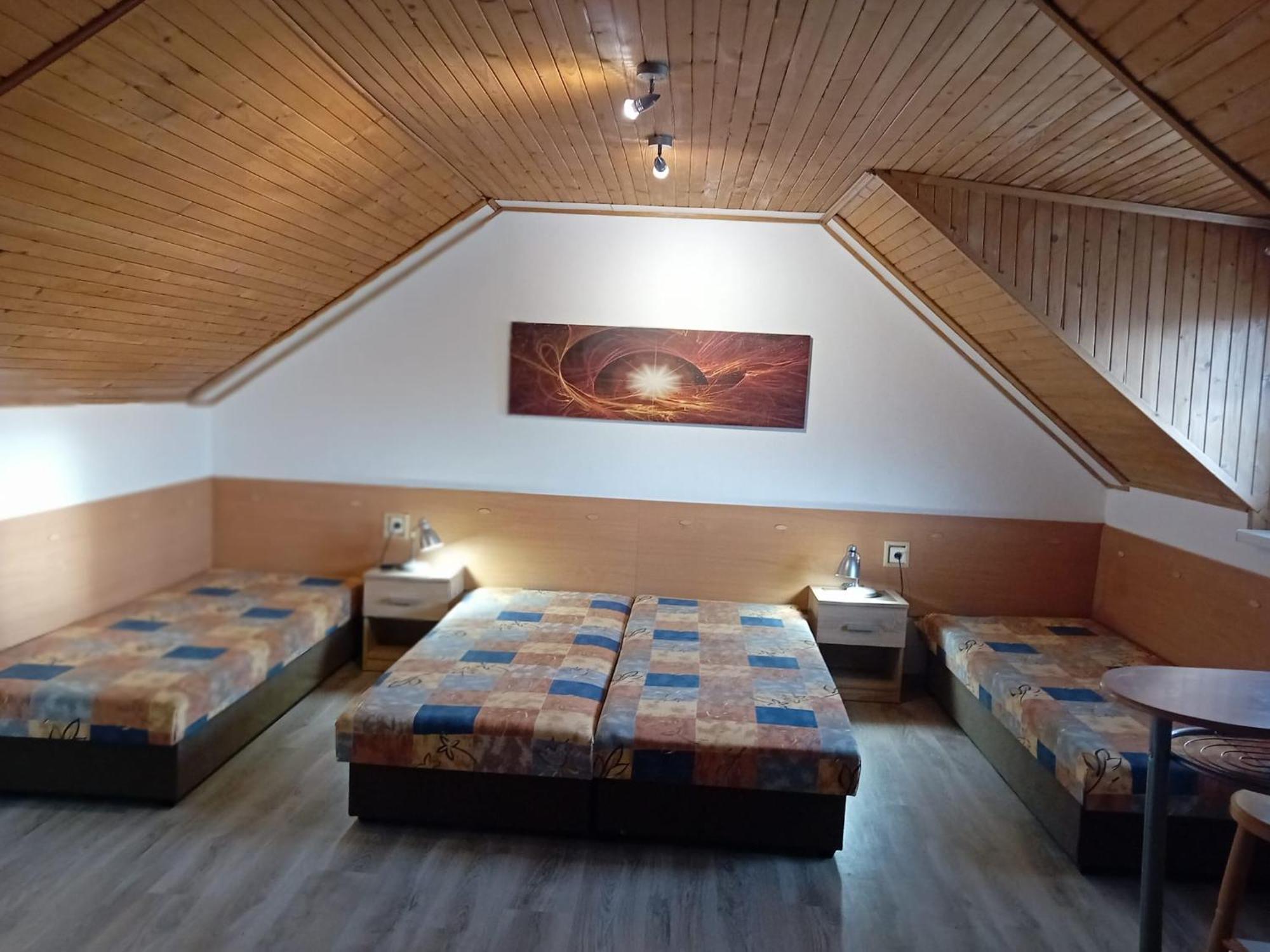 Rekreacny Dom Apartment Strecno Екстериор снимка